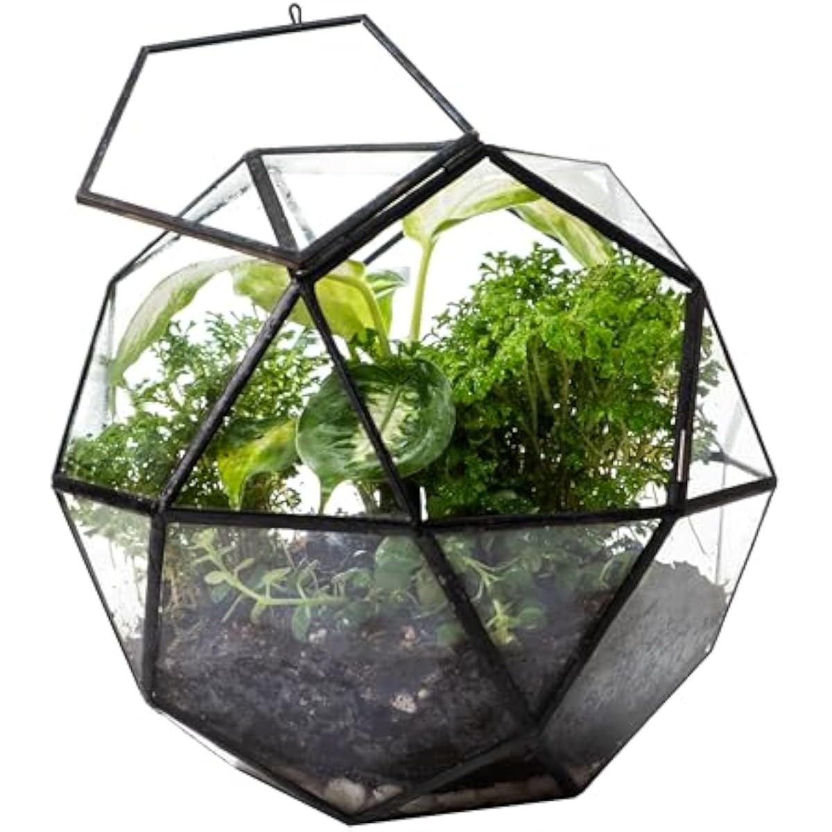 Glass Door Hinge - Terrarium berbentuk Bola Geometris dengan Pintu