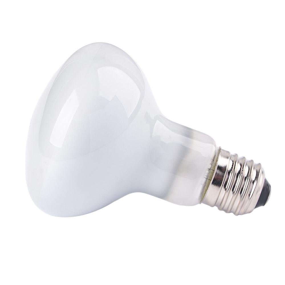 Basking Bulb Halogen - Pengontrol Suhu Amfibi, Pemanas, Lampu Halogen,