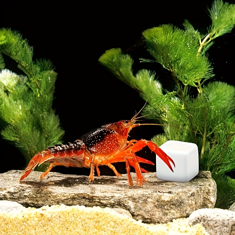 Calcium Powder Reptile - 6 Buah Batu Kalsium untuk Akuarium,