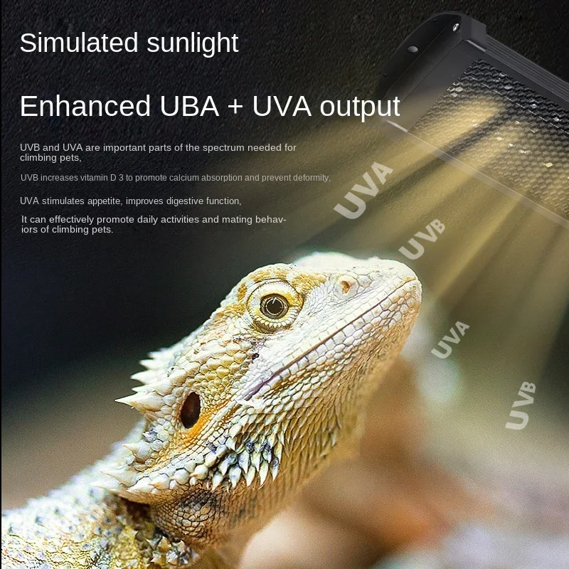Reptil UVA + UVB spektrum penu - Calcium Powder Reptile ulasan dan harga