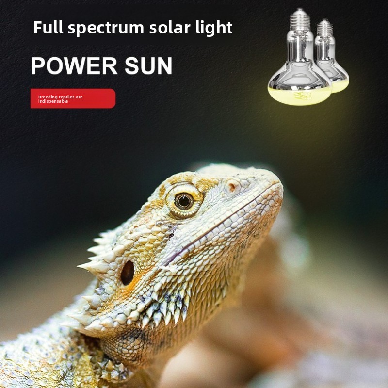 Lampu Matahari Reptil Reptizoo - Calcium Powder Reptile ulasan dan harga