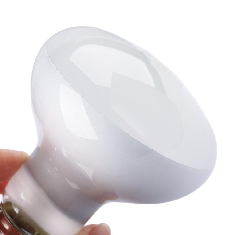 Pengontrol Suhu Pemanas Kadal  - Basking Bulb Halogen ulasan dan harga