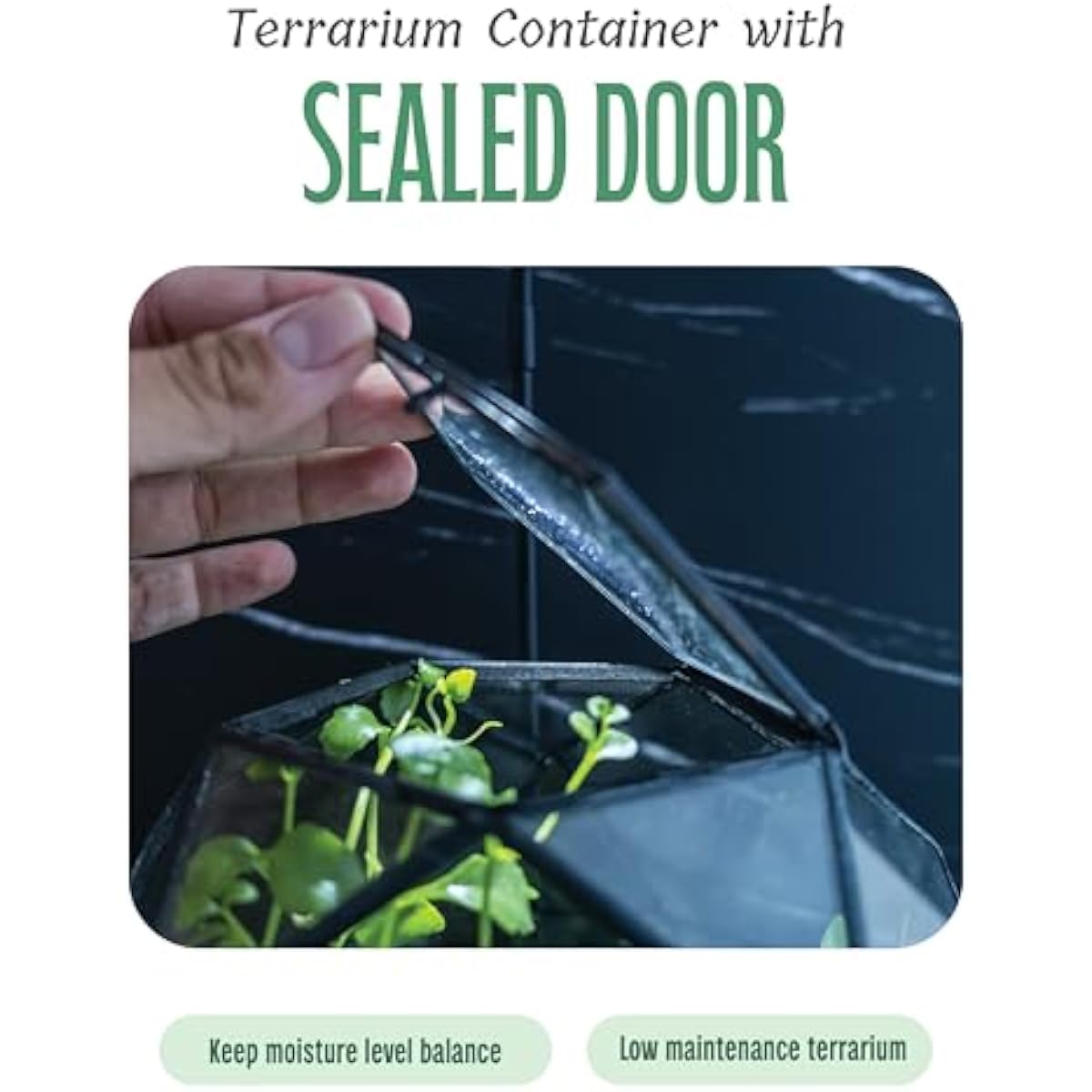Terrarium berbentuk Bola Geome - Glass Door Hinge ulasan dan harga