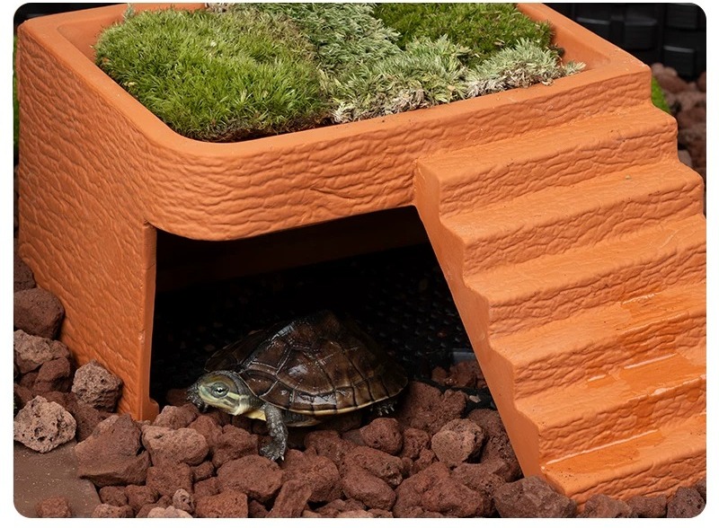 Platform Berjemur Kura-Kura Ak - Hide Cave Ceramic ulasan dan harga