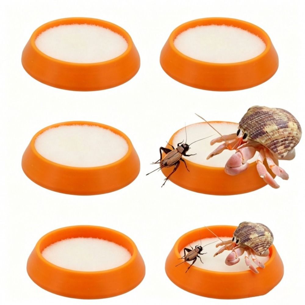 6 buah Mangkuk Pakan Reptil Po - Water Dish Reptile ulasan dan harga