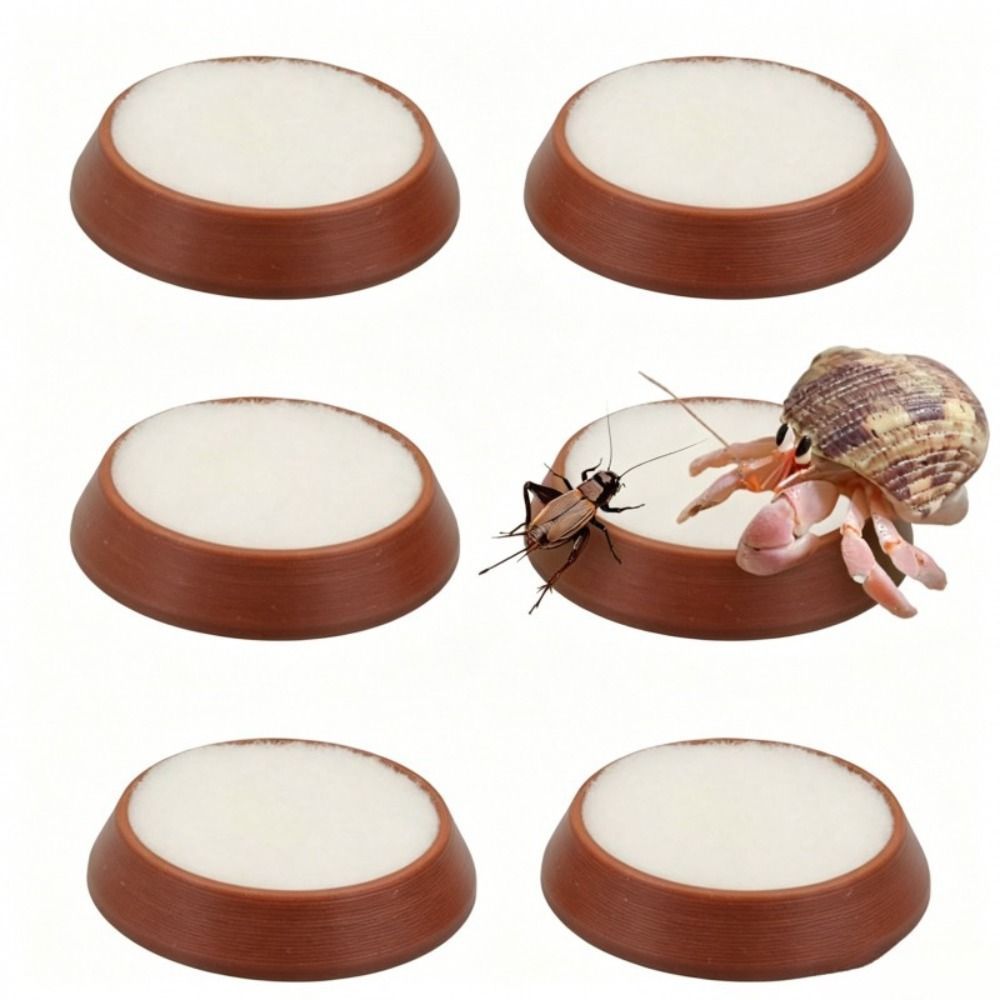 6 buah Mangkuk Pakan Reptil Po - Water Dish Reptile ulasan dan harga