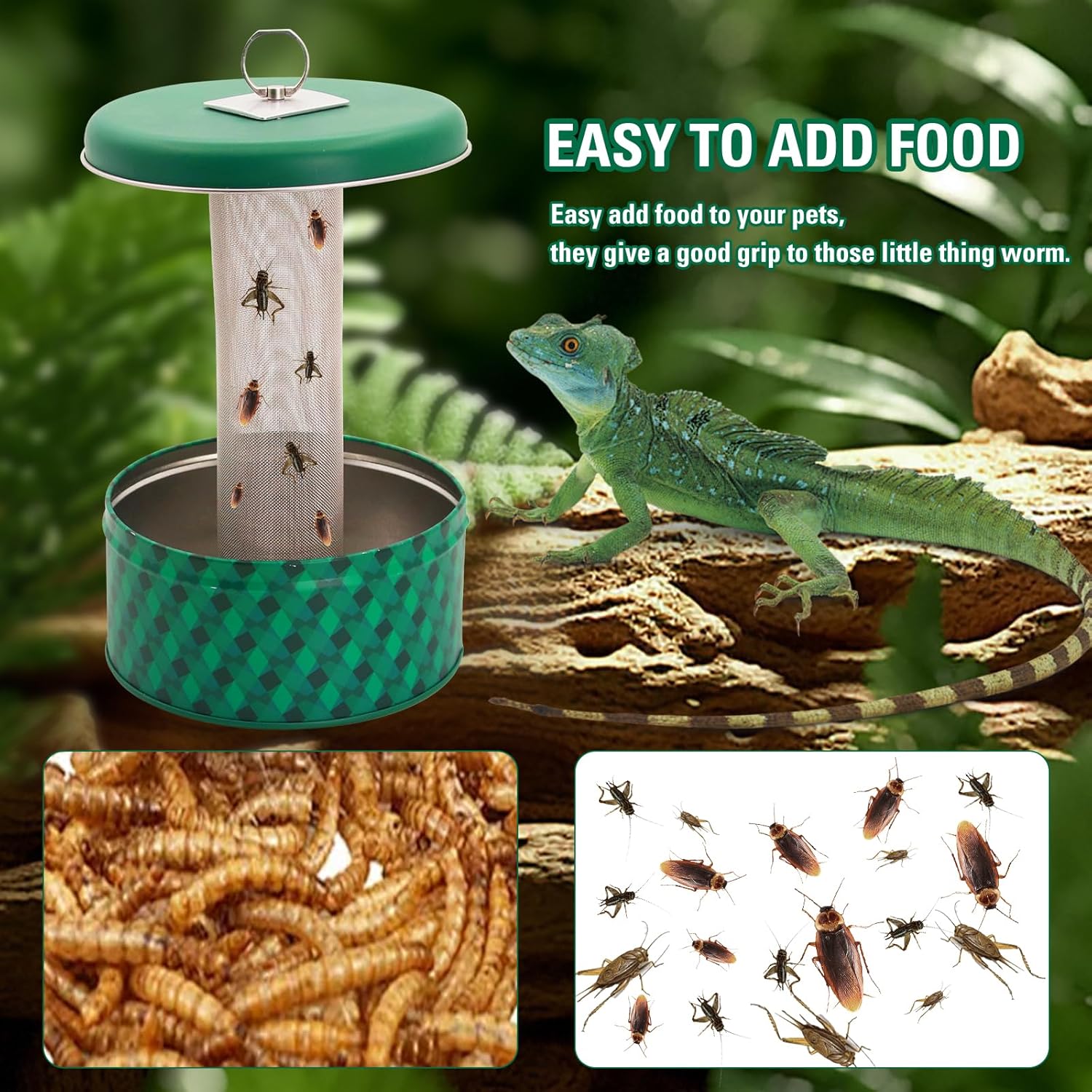Tempat Makan Naga Berjenggot,  - Water Dish Reptile ulasan dan harga