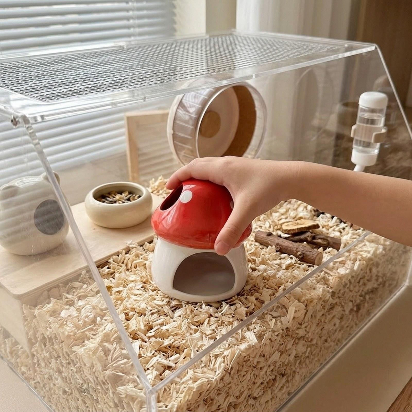 Rumah Keramik Hamster, Tempat  - Hide Cave Ceramic ulasan dan harga