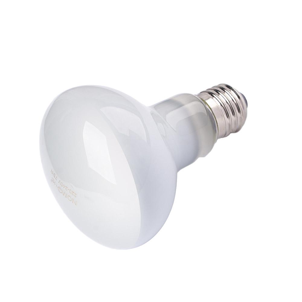 Lampu Pemanas Kura-kura, Lampu - Basking Bulb Halogen ulasan dan harga