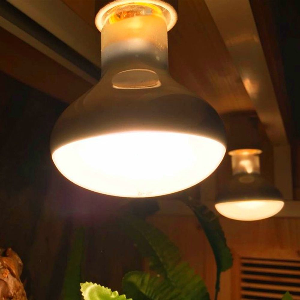 Lampu Pemanas Kura-kura, Lampu - Basking Bulb Halogen ulasan dan harga