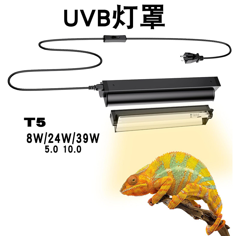 Lampu UVB T5 dengan Fixture Te - Calcium Powder Reptile ulasan dan harga
