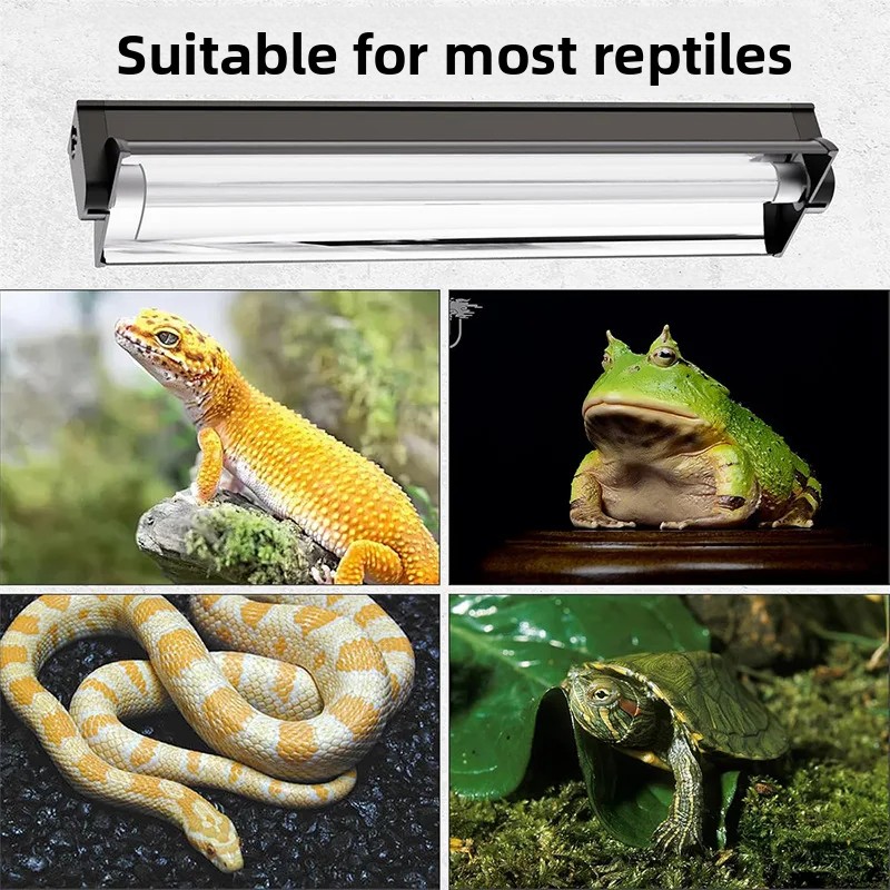 Lampu UVB T5 dengan Fixture Te - Calcium Powder Reptile ulasan dan harga